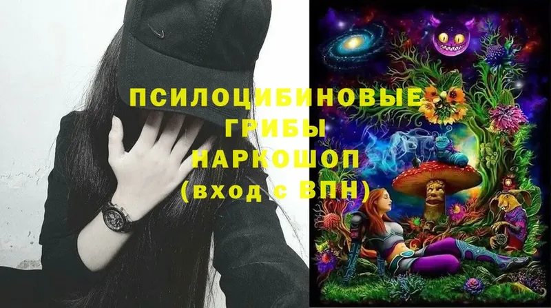 omg ТОР  Балашов  Галлюциногенные грибы Cubensis 